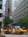 Gridlock on busy streets such as Park Avenue Royalty Free Stock Photo