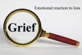 Grief Concept and Definition