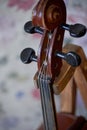 Grif old brown violin. Be on the bright background Wallpaper.Close