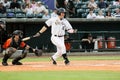 Griff Gordon, Charleston RiverDogs