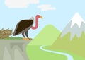 Griffin vulture rock nest flat cartoon vector wild animals birds Royalty Free Stock Photo