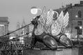 Griffins on the Bank bridge, St Petersburg, Russia Royalty Free Stock Photo