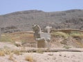 Griffins Of Persepolis. Iran 2006. Royalty Free Stock Photo