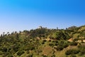 Griffith Park in Los Angeles