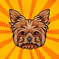 Griffon dog portrait. Dog breed. Dog face head. Vector. Royalty Free Stock Photo