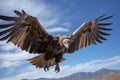 Griffon Vulture Gyps fulvus in flight, Huge vulture in flight, low angle view, AI Generated