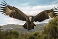 Griffon Vulture Gyps fulvus in flight, Huge vulture in flight, low angle view, AI Generated