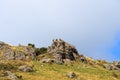 Griffon vultures in the Pyrenean mountain range, Spain Royalty Free Stock Photo