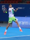 Grigor Dimitrov training on the court