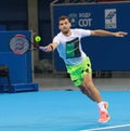 Grigor Dimitrov training on the court