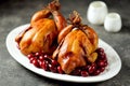 Griled chicken with Cornelian cherries. Royalty Free Stock Photo