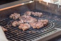 Grill barbecue gourmet filet entrecote steaks at summer party