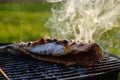 Grill fish fire mackerel food,  meal bonfire Royalty Free Stock Photo