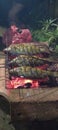 grill fish at night using charcoal Royalty Free Stock Photo