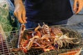 Grill fresh raw Octopus on griller for snack street food