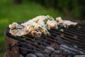 Grill garden party with ausages and meat Royalty Free Stock Photo