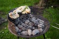 Grill garden party with sausages and meat Royalty Free Stock Photo