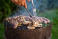 Grill garden party with sausages and meat Royalty Free Stock Photo