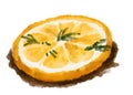 Grill lemon slice with herb watercolor painting topping on food