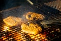 Grill meat barbeque, BBQ Royalty Free Stock Photo