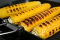 Grill pan with tasty fresh corn cobs on stove Royalty Free Stock Photo