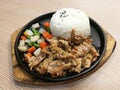 Grill pork slice on the hot BBQ pan with vegetable serve with rice, stir fried pork with garlice, lunch set meal, ready to eat, qu Royalty Free Stock Photo