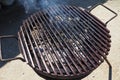 Grill - a portable installation for cooking on coals, in the heat. Direct method of cooking meat. The remaining fat