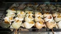 grill snails : snails on grill pan in local market in Jiufen,Taiwan. Roasted snails at Jiufen old street Taiwan Royalty Free Stock Photo