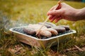 Grill summer meat sausages bbq Royalty Free Stock Photo