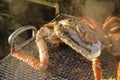 Grill taraba crab Royalty Free Stock Photo