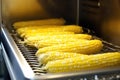 grill unit closed over a batch of roasting corns Royalty Free Stock Photo