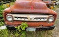 The grille of a 1953 F600 Ford truck in a junkyard in Idaho, USA - July 26, 2021 Royalty Free Stock Photo