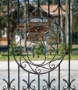 Grille gate