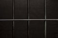 The grille of the pre-trial detention cell on a dark background. Concept: court session, jury trial, sentencing.