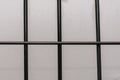 The grille of the pre-trial detention cell on a light background. Concept: court session, jury trial, sentencing.