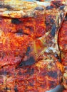 Grilled amberjack fish achiote Mayan sauce Royalty Free Stock Photo