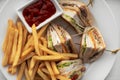 Grilled American Chicken Club Sandwich With Fried Potato Royalty Free Stock Photo