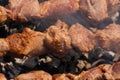 Appetizing juicy pork shish kebabs cooking on metal skewers on charcoal grill with fragrant smoke. Close-up view Royalty Free Stock Photo