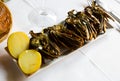 Grilled artichoke halves Royalty Free Stock Photo