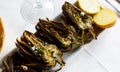 Grilled artichoke halves Royalty Free Stock Photo