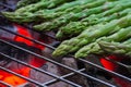 Grilled asparagus Royalty Free Stock Photo