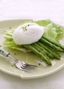 Grilled asparagus with poached egg Royalty Free Stock Photo