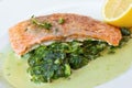 Grilled atlantic salmon fillet Royalty Free Stock Photo