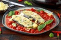 Grilled aubergine, eggplant topped with parmesan cheese crust on crashed tomatoes. Vegetarian pizza version