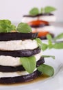 Grilled aubergine and mozzarella Royalty Free Stock Photo