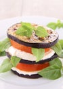 Grilled aubergine and mozzarella Royalty Free Stock Photo