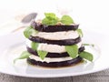 Grilled aubergine and mozzarella Royalty Free Stock Photo