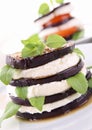 Grilled aubergine and mozzarella Royalty Free Stock Photo