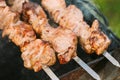Grilled Barbecue Meat Shashlik Shish Kebab Pork Meat Grilling On Metal Skewer Royalty Free Stock Photo