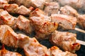 Grilled Barbecue Meat Shashlik Shish Kebab Pork Meat Grilling On Metal Skewer. Royalty Free Stock Photo